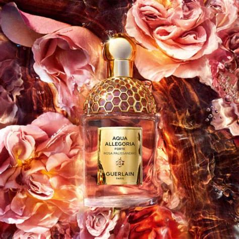 guerlain forte rosa palissandro.